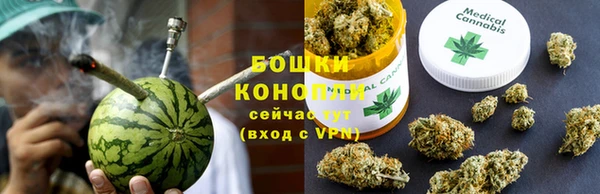 шишки Алзамай