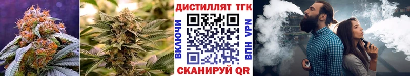 ТГК гашишное масло Дрезна