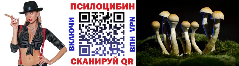 Галлюциногенные грибы Magic Shrooms  МЕГА ссылка  Дрезна 